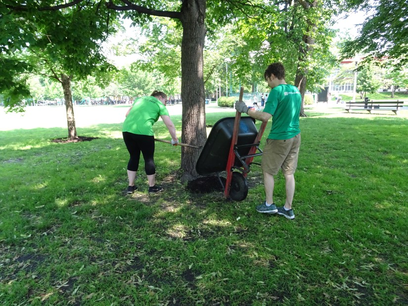 Two people helping out mulching a tree.